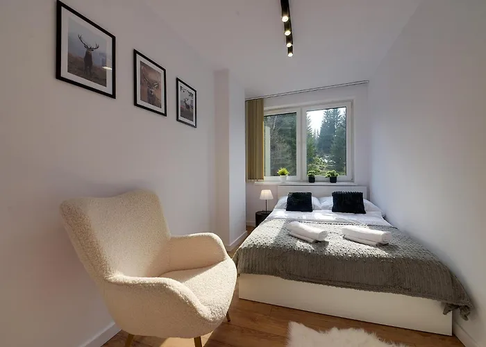 Rentplanet - żeromskiego *