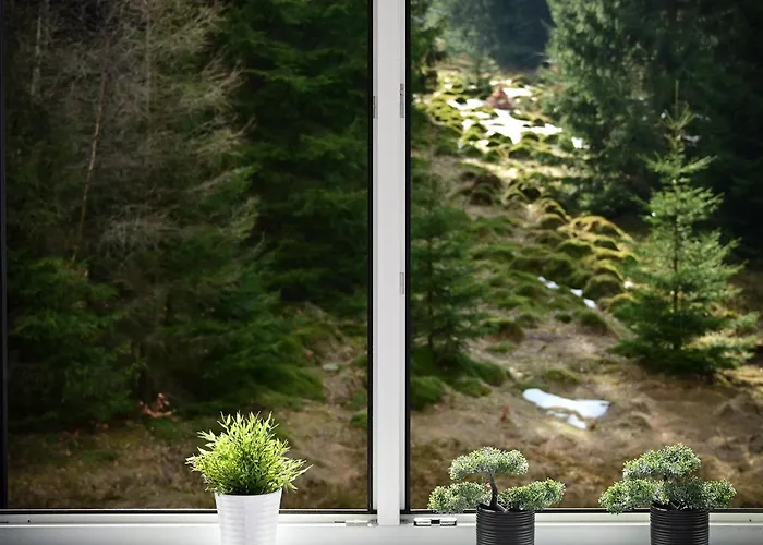 Apartment Rentplanet - Zeromskiego *